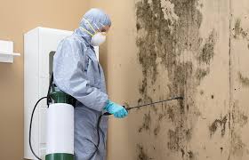 Best HVAC Mold Inspection and Cleaning  in La Grange, KY